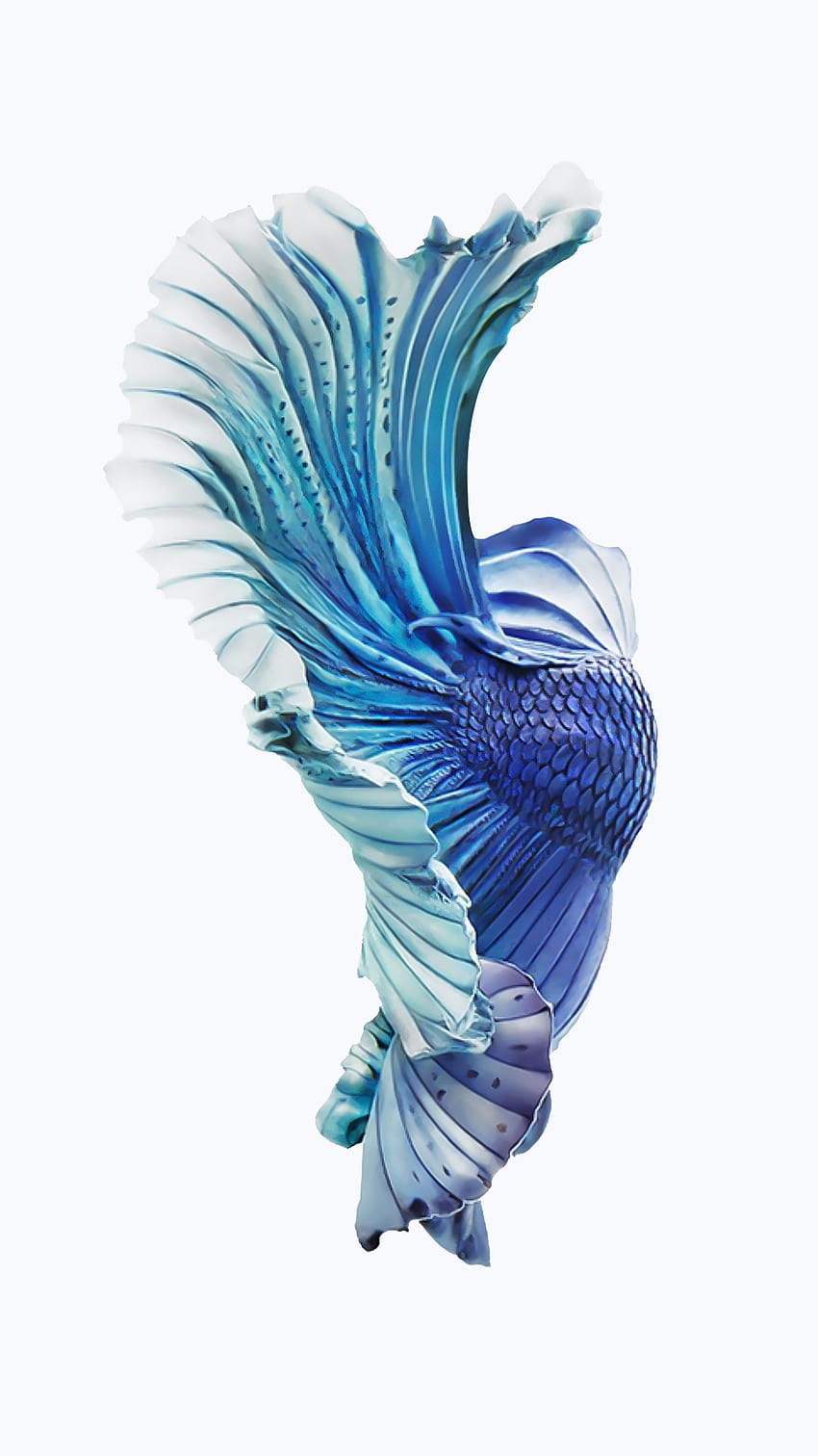 iPhone-6s-Silver-Blue-Fish-.png (1080Ã HD phone wallpaper